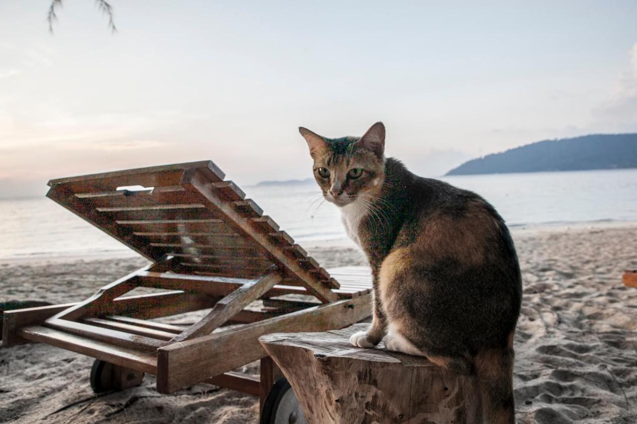 Swiss Cottage Tioman Kampong Ayer Batang Exteriér fotografie