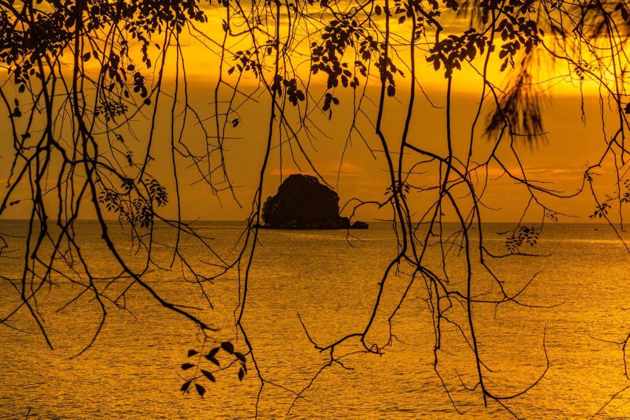 Swiss Cottage Tioman Kampong Ayer Batang Exteriér fotografie